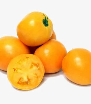 Насіння томату Саммер Сан F1, п.о. 250 насінин (Hazera)