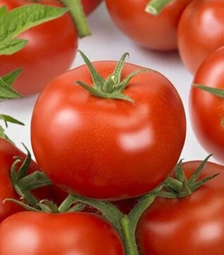 Насіння томату Ронда F1, п.о. 500 насінин (Ergon)