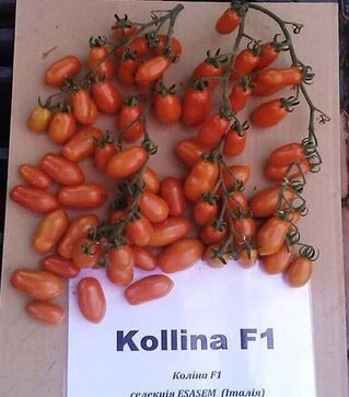 Семена томата Колина F1, п.е. 500 семян (Esasem)