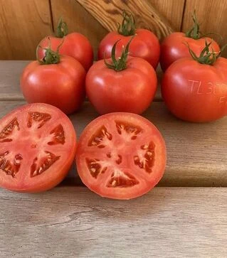 Насіння томату TL 30002 F1, п.о. 1 тис. насінин (Esasem)