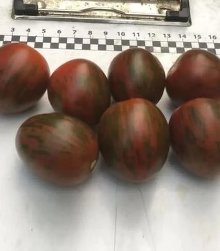 Семена томата Маритта F1, п.е. 1 тыс. семян (Spark Seeds)