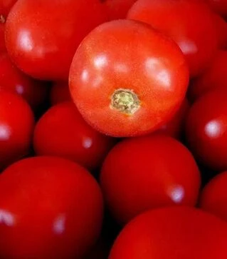 Насіння томату Бобкат F1, п.о. 1 тис. насінин (Syngenta)