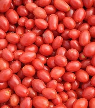 Насіння томату Едвайзор F1, п.о. 1 тис. насінин (Esasem)