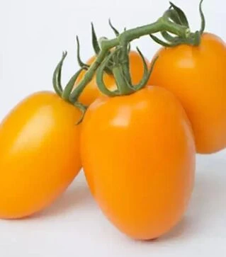 Насіння томату КС 1430 F1, п.о. 1 тис. насінин (Kitano Seeds)