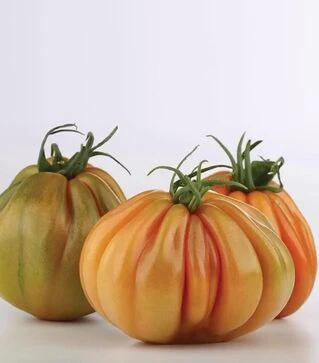 Семена томата Таркюто F1, п.е. 100 семян (Enza Zaden)