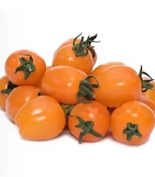 Семена томата Мода F1, п.е. 100 семян (Yuksel Tohum)