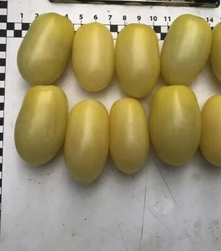 Семена томата Смарт F1, п.е. 100 семян (Spark Seeds)