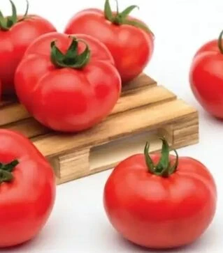 Насіння томату Хает F1, п.о. 100 насінин (Sakata)
