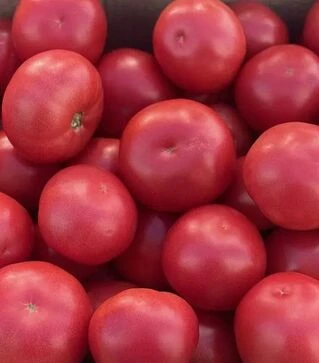 Насіння томату Фаєр F1, п.о. 250 насінин (Spark Seeds)