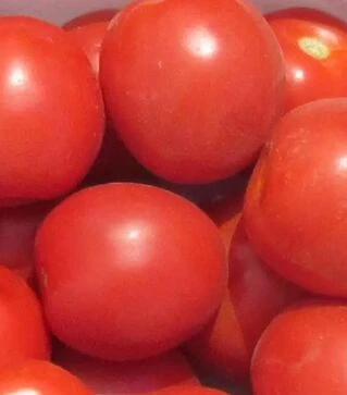 Семена томата Солероссо F1, п.е. 5 тыс. семян (Nunhems)