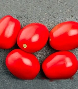 Семена томата 1301 F1, п.е. 5 тыс. семян (Heinz)