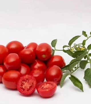 Насіння томату Чезена F1, п.о. 5 тис. насінин (Libra Seeds)