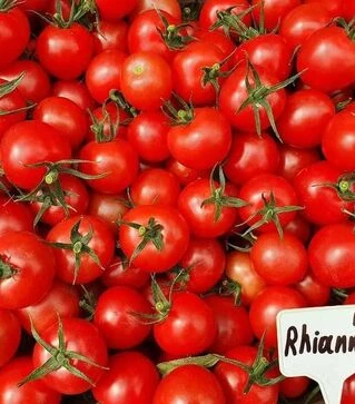 Семена томата Рианна F1, п.е. 50 семян (Sakata)
