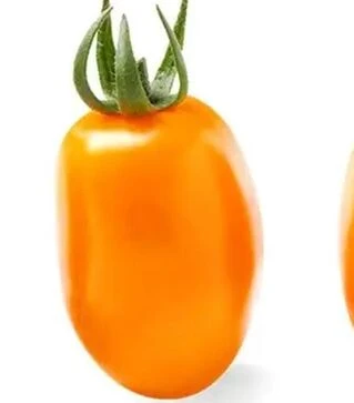 Семена томата Фантино F1, п.е. 50 семян (Sakata)