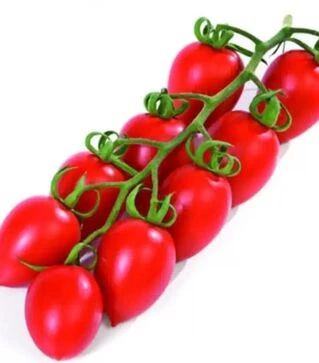 Насіння томату Самори F1, п.о. 50 насінин (Esasem)