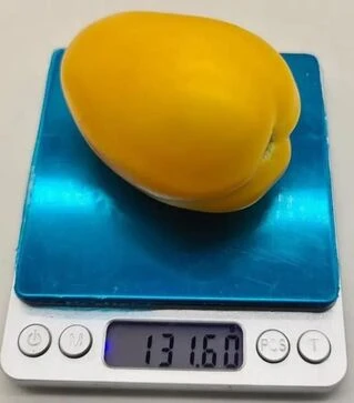 Семена томата КС 221 F1, п.е. 500 семян (Kitano Seeds)