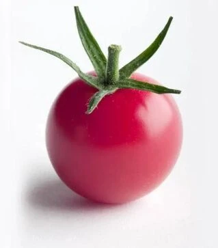 Насіння томату Ріанна F1, п.о. 500 насінин (Sakata)