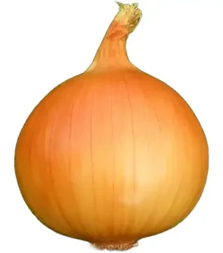 Насіння ріпчатої цибулі Тареско F1, п.о. 250 тис. насінин (Hazera)