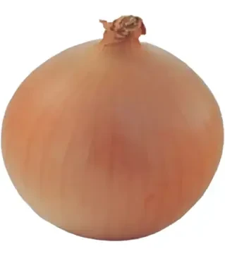 Насіння ріпчатої цибулі Дайтона F1, п.о. 10 тис. насінин (Bejo)