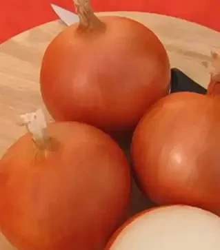 Семена репчатого лука Медуза F1, п.е. 250 тыс. семян (Takii Seed)