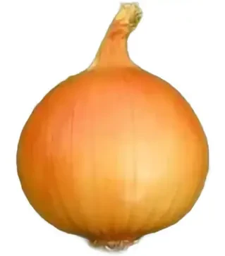 Насіння ріпчатої цибулі Олоросо F1, п.о. 100 тис. насінин (Nunhems)