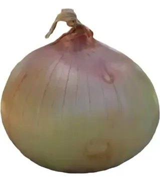 Семена репчатого лука Сеншуй Эллоу, п.е. 250 тыс. семян (Cora Seeds)