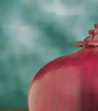 Семена репчатого лука Робин, п.е. 250 тыс. семян (Bejo)