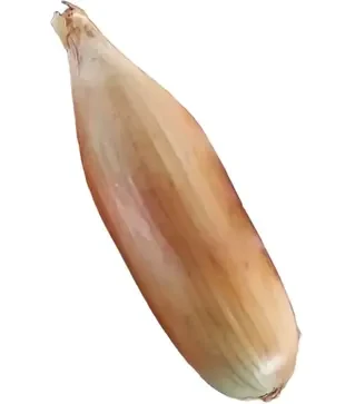 Насіння ріпчатої цибулі Тоска, 1 кг (Moravoseed)