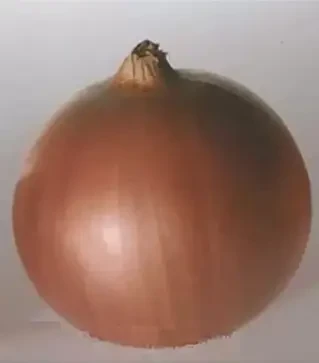 Семена репчатого лука Утреро F1, п.е. 100 тыс. семян (Утреро F1)