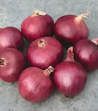 Насіння ріпчастої цибулі Ред Булл F1, п.о. 10 тис. насінин (Bejo)