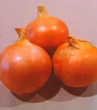 Насіння ріпчастої цибулі Вірджіліо, п.о. 250 тис. насінин (Hazera)