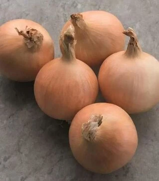 Семена репчатого лука Дритан F1, п.е. 250 тыс. семян (Bejo)