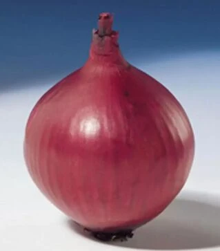 Семена репчатого лука Ред Барон F1, п.е. 250 тыс. семян (Bejo)