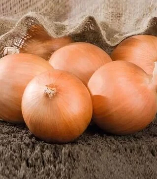 Насіння ріпчастої цибулі Роухайд F1, п.о. 250 тис. насінин (Bejo)