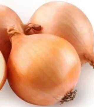 Насіння ріпчастої цибулі Торус F1, п.о. 250 тис. насінин (Sakata)