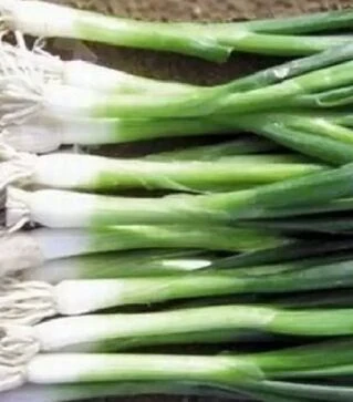 Семена репчатого лука Гринпик F1, п.е. 250 тыс. семян (Lark Seeds)