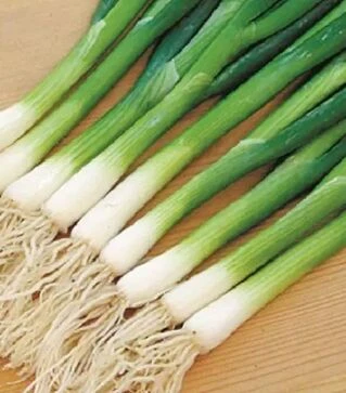 Семена репчатого лука Гринпик F1, п.е. 250 тыс. семян (Lark Seeds)