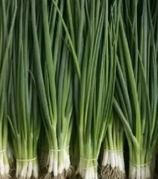 Семена лука порей Герда, 200 г (Semo)