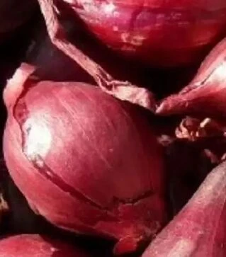 Семена репчатого лука Карминка, 100 г (Semo)