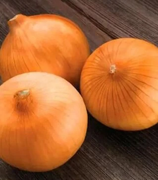 Насіння ріпчастої цибулі Спеніш Медальйон F1, п.о. 10 тис. насінин (Sakata)