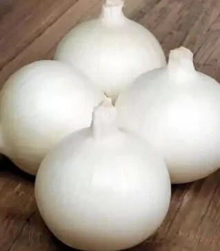 Семена репчатого лука Бело Бланко F1, п.е. 250 тыс. семян (Sakata)