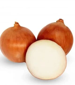 Насіння ріпчастої цибулі Аттіка F1, п.о. 250 тис. насінин (Cora Seeds)