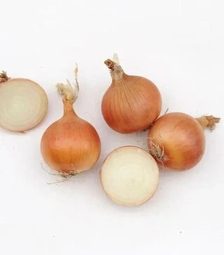 Семена репчатого лука Промоушн F1, п.е. 250 тыс. семян (Syngenta)