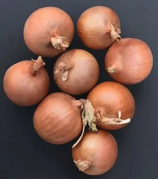 Насіння ріпчастої цибулі Сонома F1, п.о. 250 тис. насінин (Bejo)