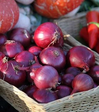 Семена лука севок Ред Барон, 10 кг (Triumfus Onion Products)