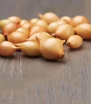 Семена лука севок Сеншуй Broer, 10 кг (Broer B.V.)