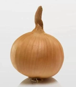 Семена лука сеялки Радар, 10 кг (Broer B.V.)