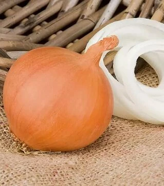 Насіння ріпчастої цибулі Манас F1, п.о. 250 тис. насінин (bp) (Bejo)