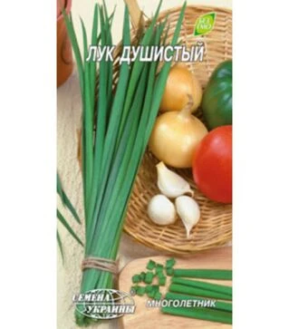 Насіння цибулі джусай Запашна, 5 г (Насіння України)