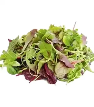 Насіння салату Міні суміш, 500 г (Коуел)